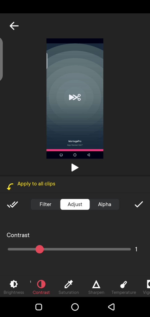 Screenshot of Montage Pro